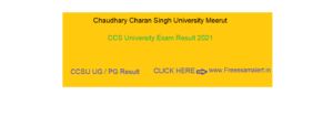 CCS University MA Result