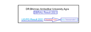 DBRAU Bsc Result 2021