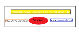 PDUSU Bcom Exam Form 2022